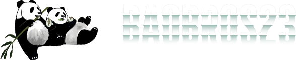 BaoBros23